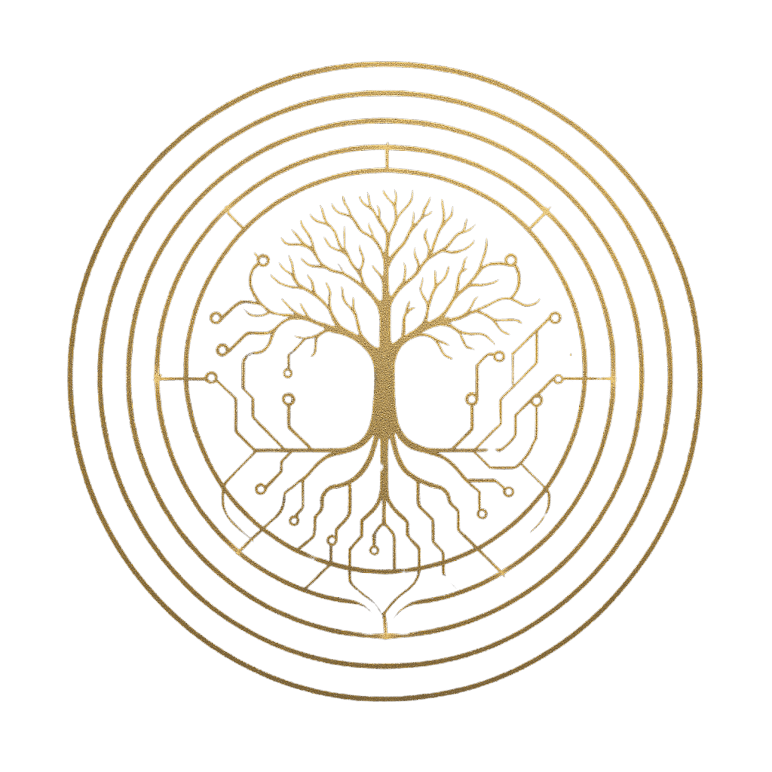 Logo Ainsi Parle Liathoustra