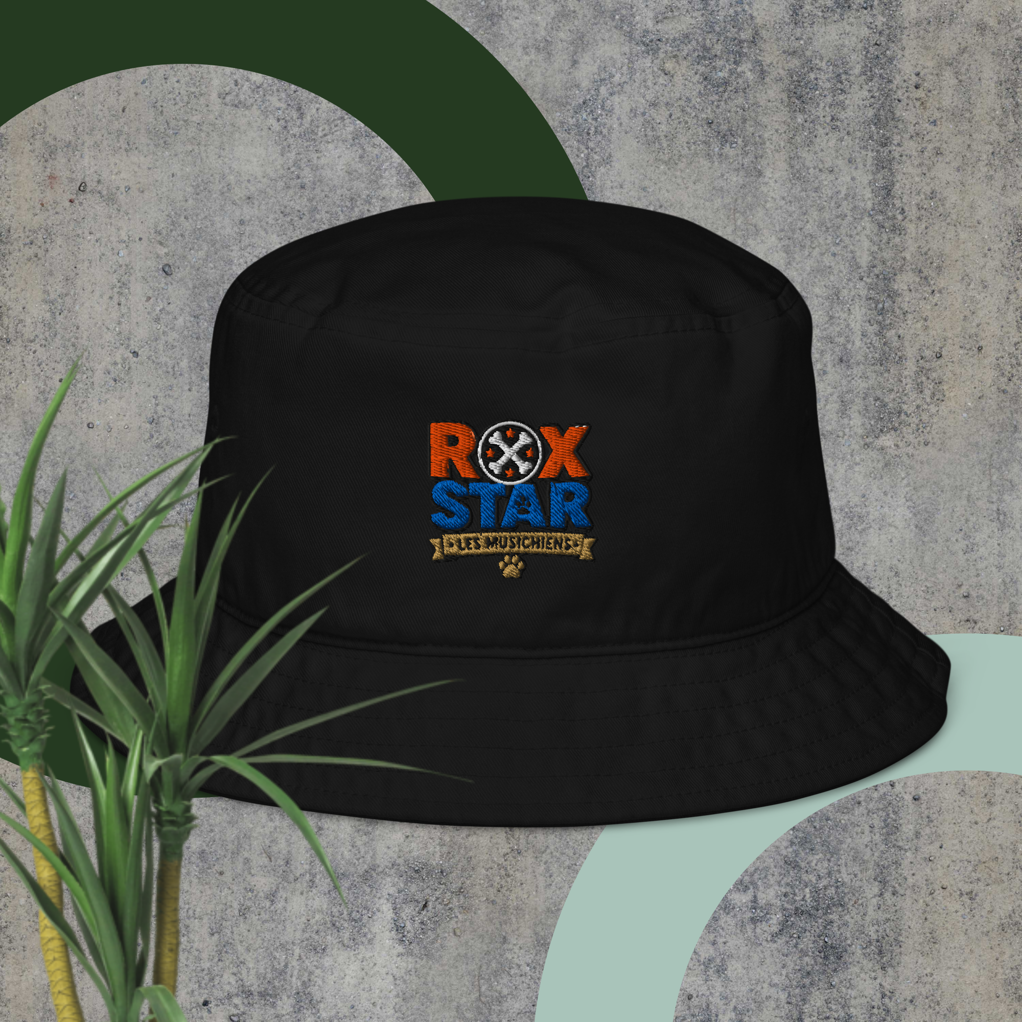 bob rox star écologique